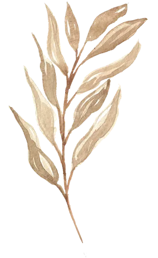 唯美森系手绘水彩花朵 免抠