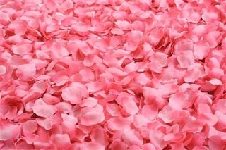 美丽的花瓣背景图