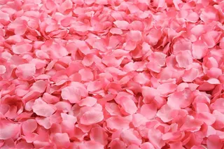 美丽的花瓣背景图