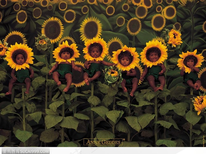 装扮成向日葵的婴儿