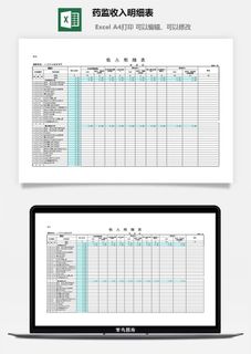 药监收入明细表excel模板
