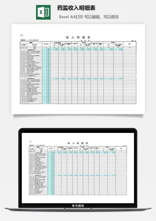 药监收入明细表excel模板