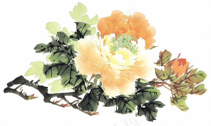 花卉国画欣赏摄影图片