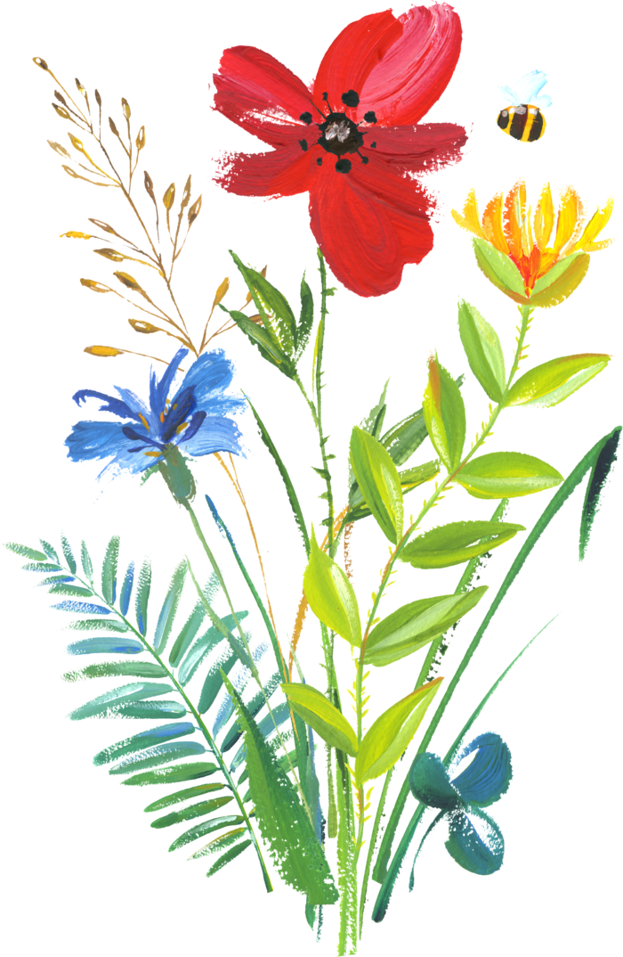 花朵  装饰   花束