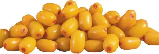 沙棘 PNG免抠(5800x2010)