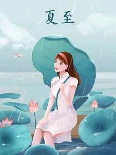 夏至插画|海报