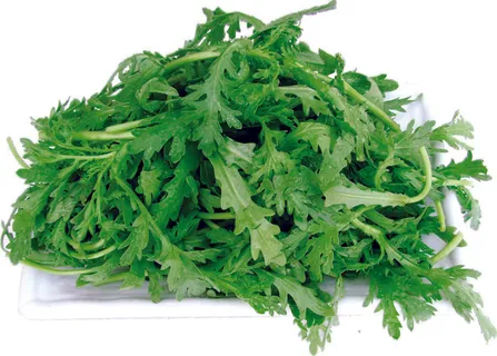 火锅配菜之茏葱