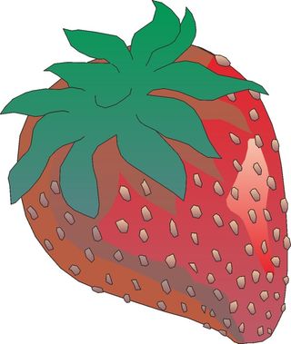 卡通动漫动画大草莓水果海报名片免扣图片素材矢量图