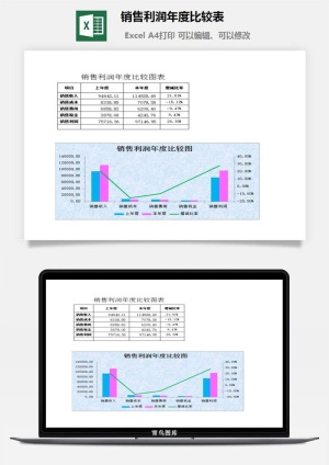 销售利润年度比较表excel模板