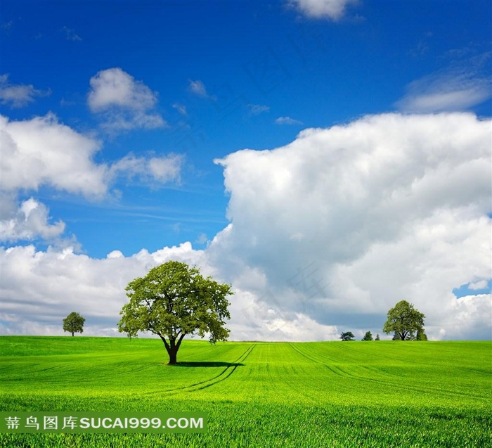 高清草地天空风景图片下载