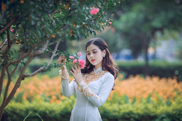 端详着粉色鲜花的美女