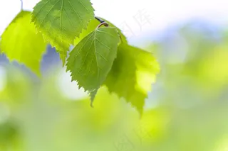 2016年7月桌面日历图片