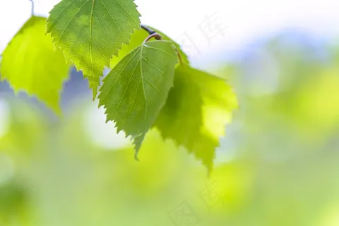 2016年7月桌面日历图片 2016年7月桌面日历图片