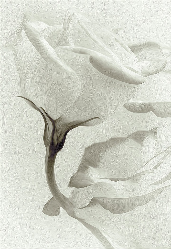 白玫瑰油画质感