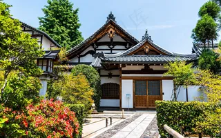 秋天秋日树落叶高清背景