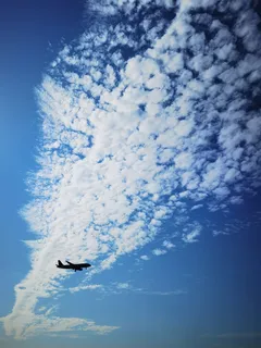 蓝天鳞状白云飞翔的飞机 蓝天鳞状白云飞翔的飞机