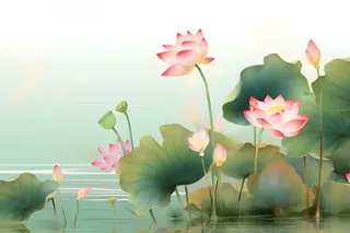意境国潮荷花简约淡雅背景