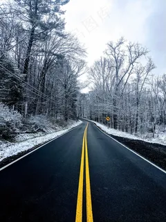 树林公路雪景图片 树林公路雪景图片