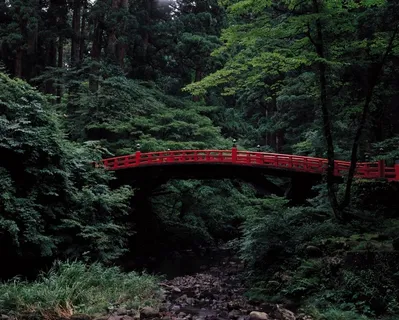 山谷中横加于树林间的红色木桥