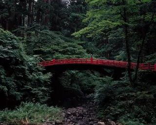山谷中横加于树林间的红色木桥