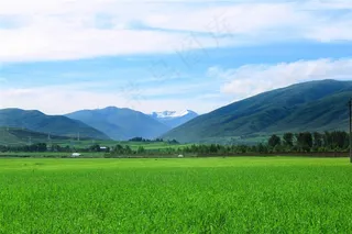 辽阔的草原图片