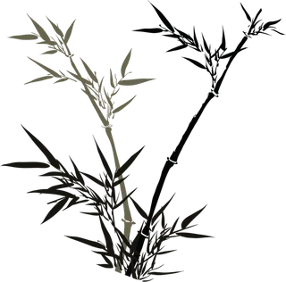 竹子水墨画中国风国画墨水书法竹子画