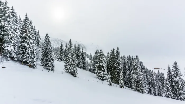 高清雪山雪景树林