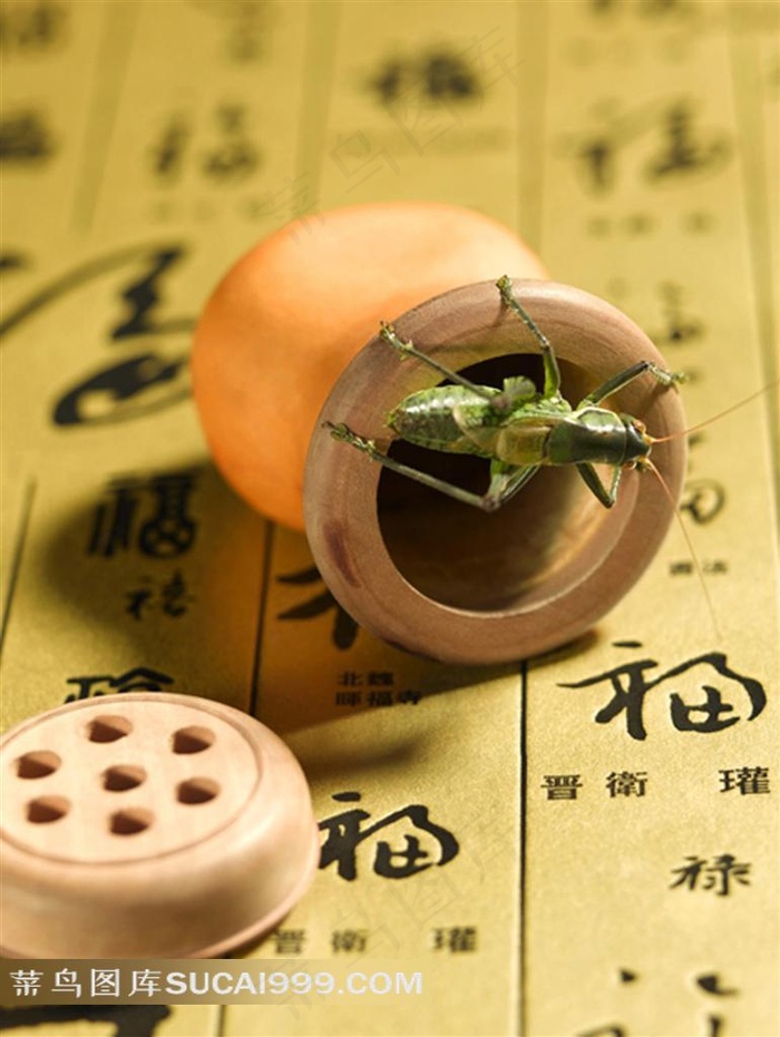 斗蛐蛐的工具素材