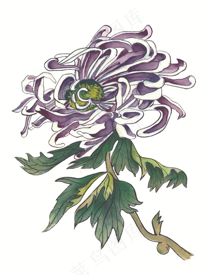 写意花卉美图摄影图片