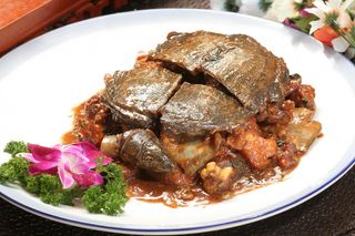 酱烧甲鱼鸡 