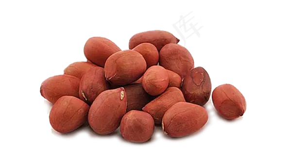 免扣png花生  