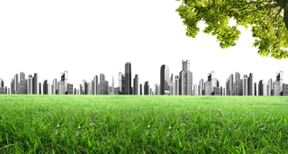 现代农业都市草场