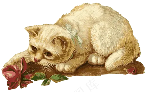 猫, 小猫, 玫瑰, 花, 动物, 宠物