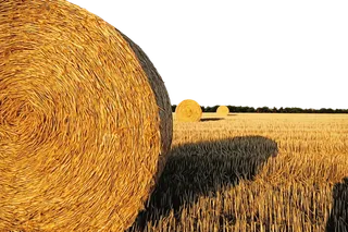 现代农业草垛子