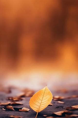 棕黄色叶子大气简约节气海报背景