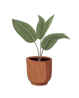 植物盆栽元素插画 植物盆栽元素插画