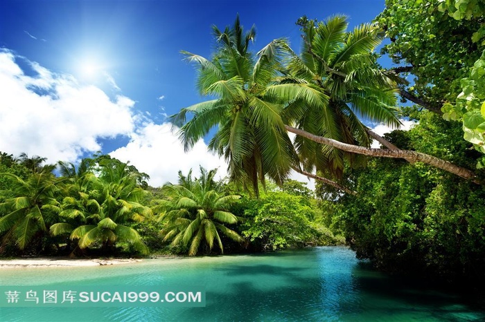 海南岛夏日风景图片