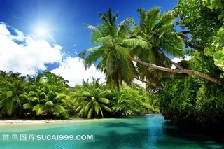海南岛夏日风景图片