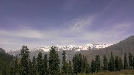 雪山树木景观图片 雪山树木景观图片