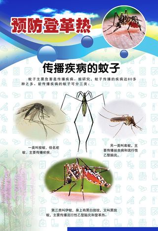 预防登革热宣传系列挂图海报