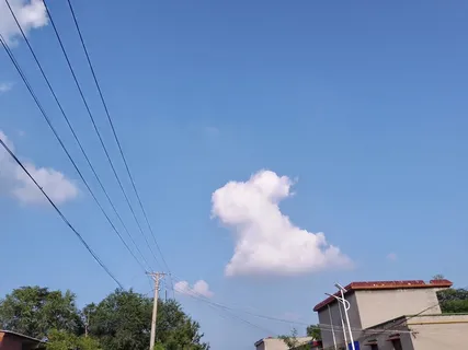 形如兔子的云 形如兔子的云