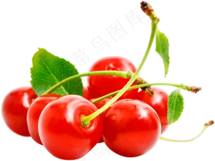 樱桃免抠素材 (24)