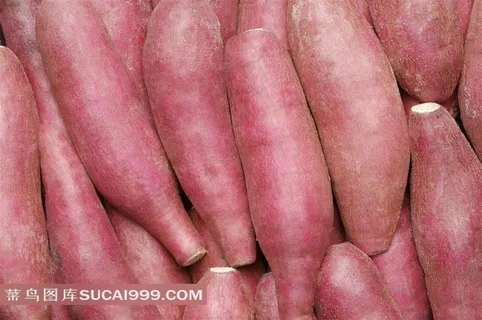 地瓜高清摄影素材