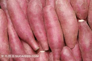 地瓜高清摄影素材