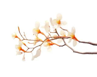 唯美粉白色鲜花树枝元素