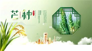 芒种 芒种营销设计