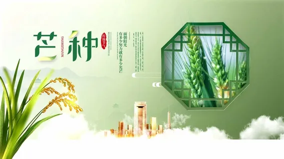 芒种 芒种营销设计 芒种 芒种营销设计