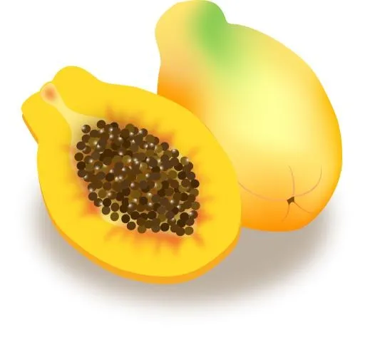 木瓜 PNG免抠(1504x1402)