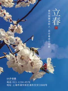 24节气立春春季新春春天海报模板PSD分层设计素材源文件模板