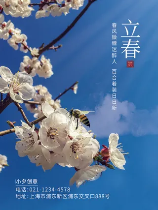 24节气立春春季新春春天海报模板PSD分层设计素材源文件模板